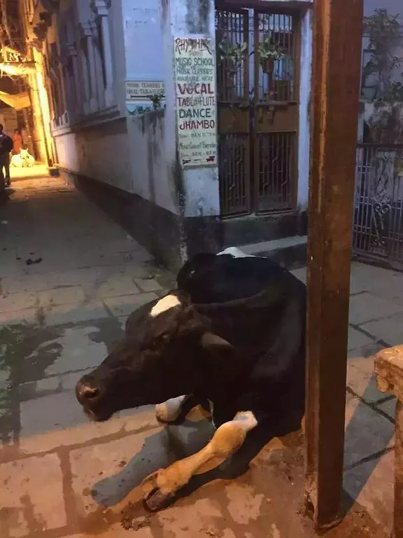 Paradise Inn Guest House Varanasi India